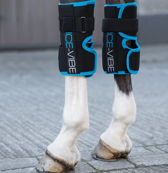Horseware ICE-VIBE Gamasche Knee
