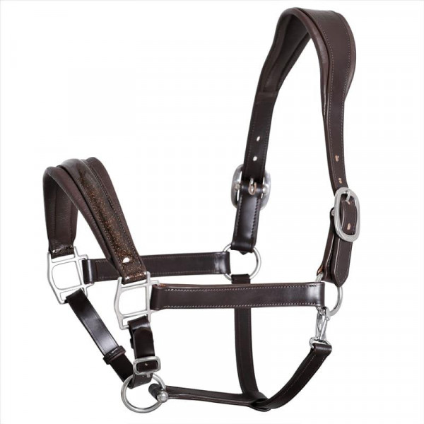 SD Mystery Halfter aus Leder