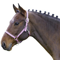 Euroriding Halfter Comfort Nylon, unterlegt Euroriding Halfter Comfort Nylon, unterlegt