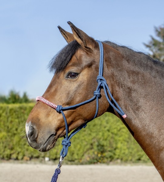 USG Knotenhalfter Cob/Full