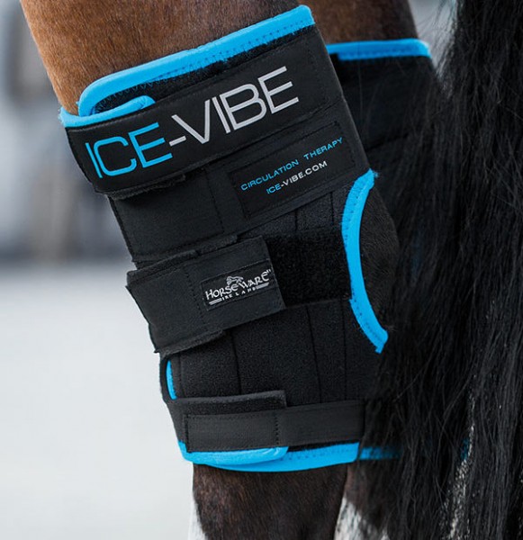 ice hock boots for horses
