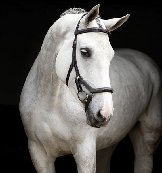Horseware Rambo Micklem Competition Deluxe havanna/braun