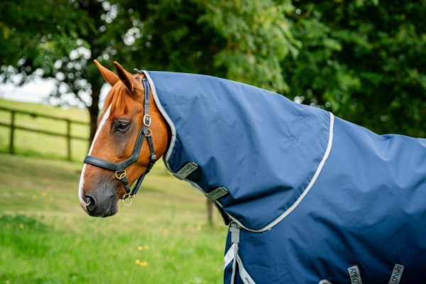 Horseware Amigo Bravo 12 Hoody 150g