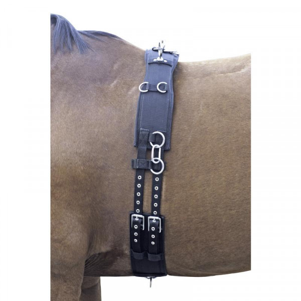 Eurording Longiergurt Nylon Euro Club