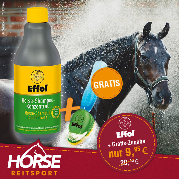 EFFOL HORSE SHAMPOO KONZENTRAT + EFFOL REINIGUNGSBÜRSTE Aktion