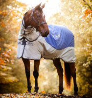 Horseware Rambo Autumn Series 0g & 100g Liner Horseware Rambo Autumn Series 0g & 100g Liner