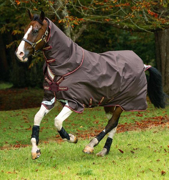 Horseware Amigo Bravo 12 Plus 100g Brown/Red, Gold & Red