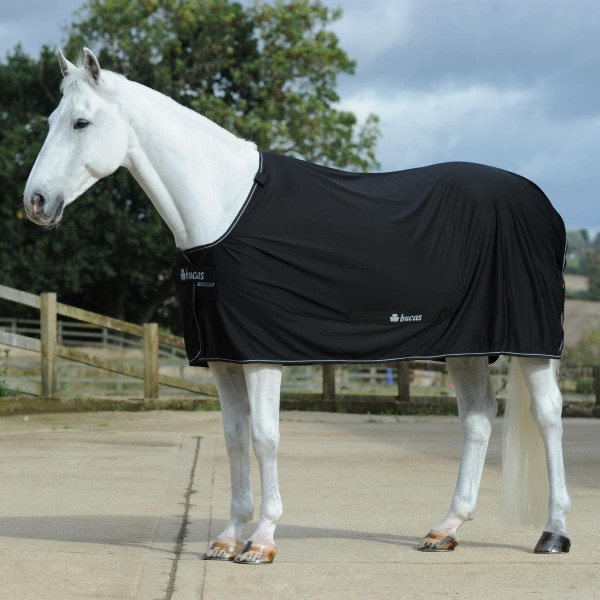 Bucas Power Cooler Decke