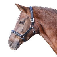 Euroriding Lederhalfter Nancy soft Euroriding Lederhalfter Nancy soft