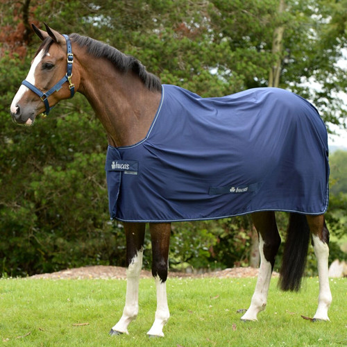 Bucas Power Cooler Decke