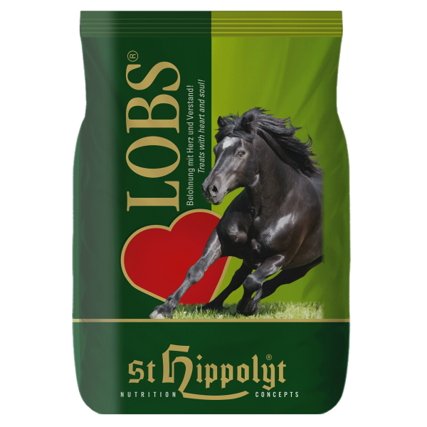 St. Hippolyt Lobs Belohnungswürfel