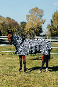 Horze Pony Defender Fliegendecke Zebra mit festem Halsteil