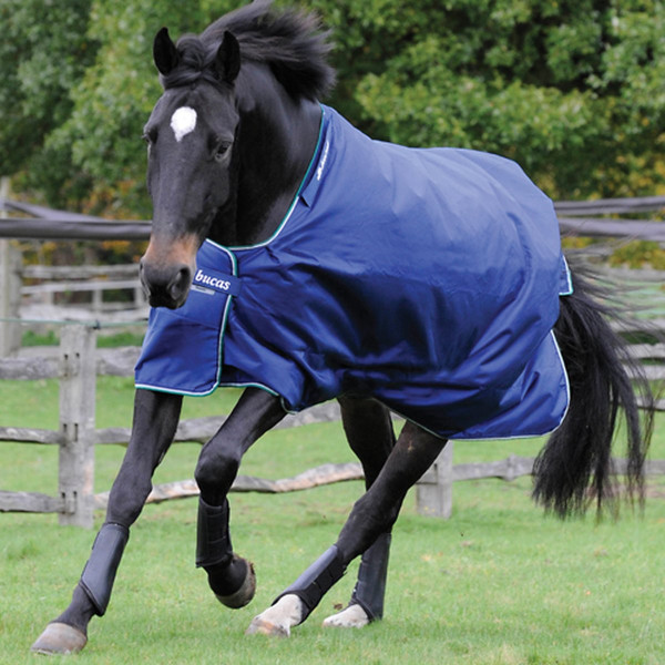 Bucas Turnout Smartex Medium 150g navy