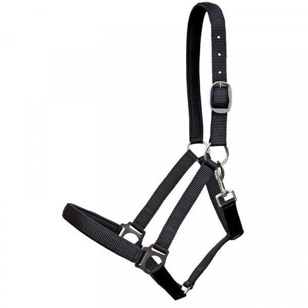 Euroriding Nylonhalfter Guide silber