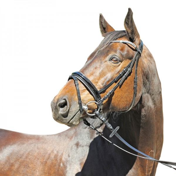 Euroriding Trense Grasse