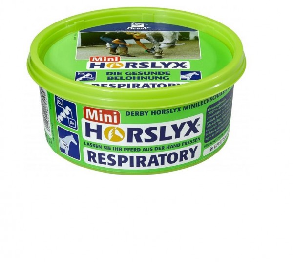 Derby Horslyx Leckmasse