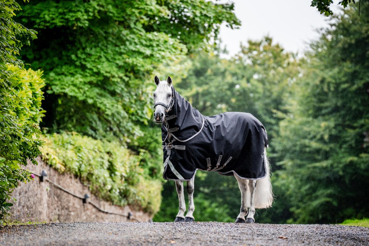 Horseware Amigo Bravo 12 Plus Bundle 50g 100g 200g Outdoordecken Pferdedecken Pferd HORSE Reitsport