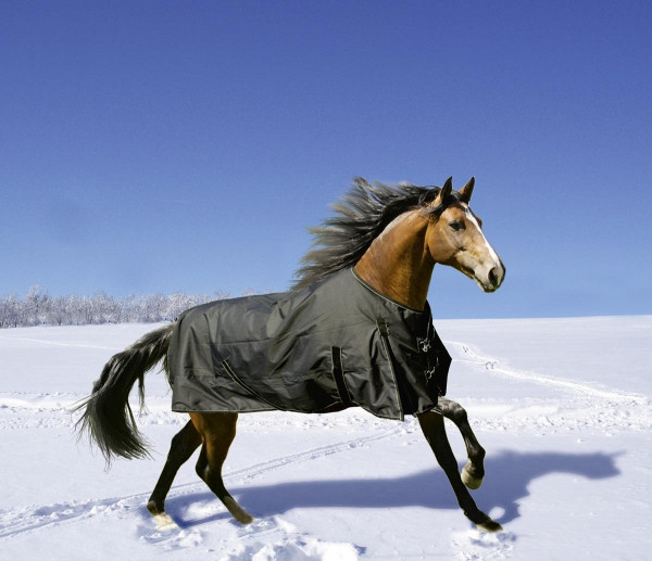 Euroriding Outdoor Decke Fairbanks