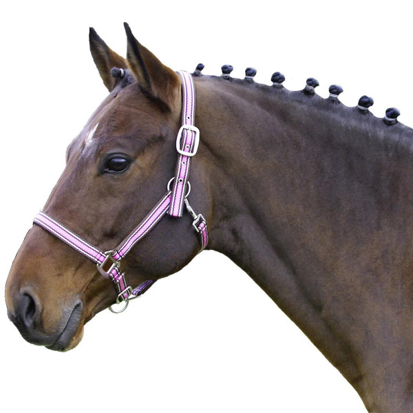 Euroriding Halfter Comfort Nylon, unterlegt