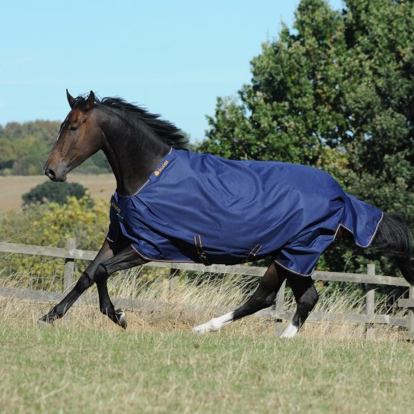 Bucas Irish Turnout Light 50g blau/gold