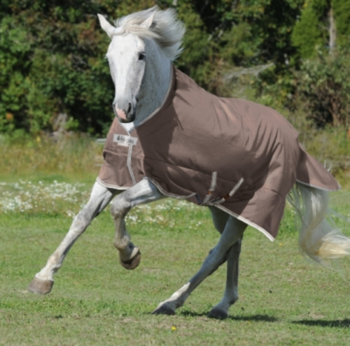Bucas Euroriding Turnout light